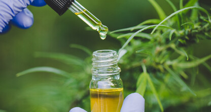 A gloved hand holds a dropper above a small glass bottle of yellow liquid with a cannabis plant in the background, possibly for analysis or evidence in litigation support at a corporate law office.