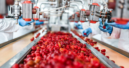 Workers in protective clothing sort and inspect red bell peppers on a conveyor belt in a food processing facility, similar to how lawyers in Chicago meticulously review cases at their law offices.