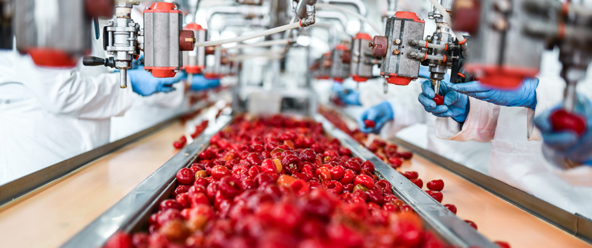 Workers in protective clothing sort and inspect red bell peppers on a conveyor belt in a food processing facility, similar to how lawyers in Chicago meticulously review cases at their law offices.