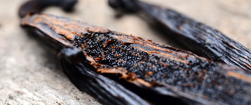 Close-up of a split vanilla bean pod, showing dark seeds and textured interior on a light surface—ideal for presentations or materials related to intellectual property law in culinary or flavor patent cases.