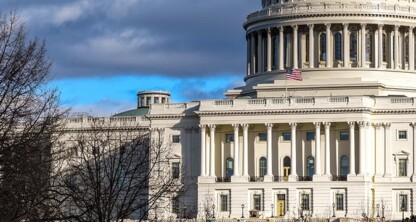 The U.S. Capitol building with its dome, columns, and an American flag, partially obscured by leafless trees under a cloudy sky—an iconic symbol often associated with law offices and intellectual property law.