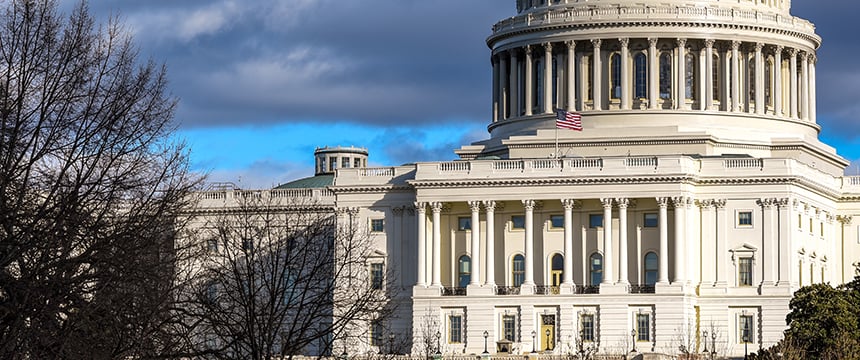 The U.S. Capitol building with its dome, columns, and an American flag, partially obscured by leafless trees under a cloudy sky—an iconic symbol often associated with law offices and intellectual property law.