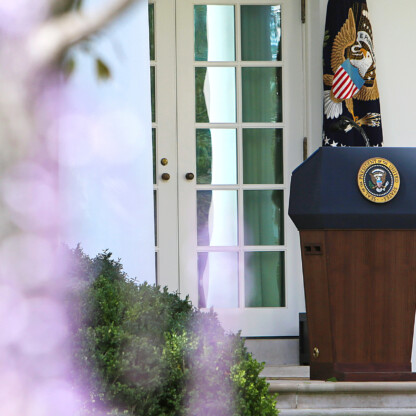 Political Law Hero Image.