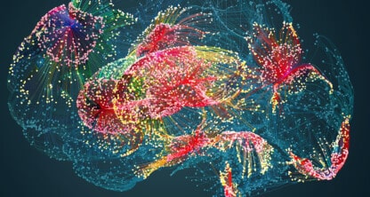 A digital illustration of a human brain with multicolored neural networks and nodes, symbolizing neural connections and brain activity—an artistic nod to the intricate thinking behind intellectual property law.